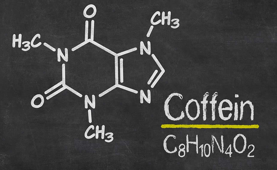 Chemical Curiosities of a Single Coffee Bean