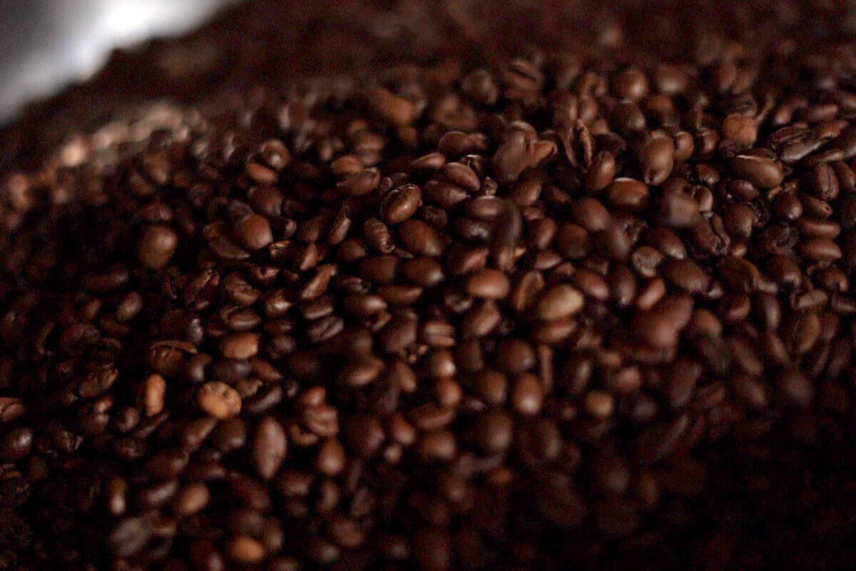organic coffee beans medium roast